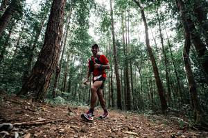 BIB: 
                            <button type="button" onclick="openModal(25261385)" class="btn btn-primary btn-sm float-right btn-popup" data-toggle="modal" data-target=".modal-high-quality">
                        <i class="fas fa-shopping-cart"></i> Add to Cart
                    </button>
                                            <button type="button" onclick="isThisMe(25261385, true)" class="btn btn-success btn-sm float-right btn-popup btn-isme hidden" data-toggle="tooltip" data-placement="bottom" title="นี่คือรูปของคุณใช่ไหม คลิกที่นี่เพื่อเอาเข้าอัลบั้ม">
                        <i class="fas fa-plus"></i> Add to album
                    </button>
                    <button type="button" onclick="isThisMe(25261385, false)" class="btn btn-warning btn-sm float-right btn-popup btn-isnotme hidden">
                        <i class="fas fa-ban"></i> Remove from album
                    </button>